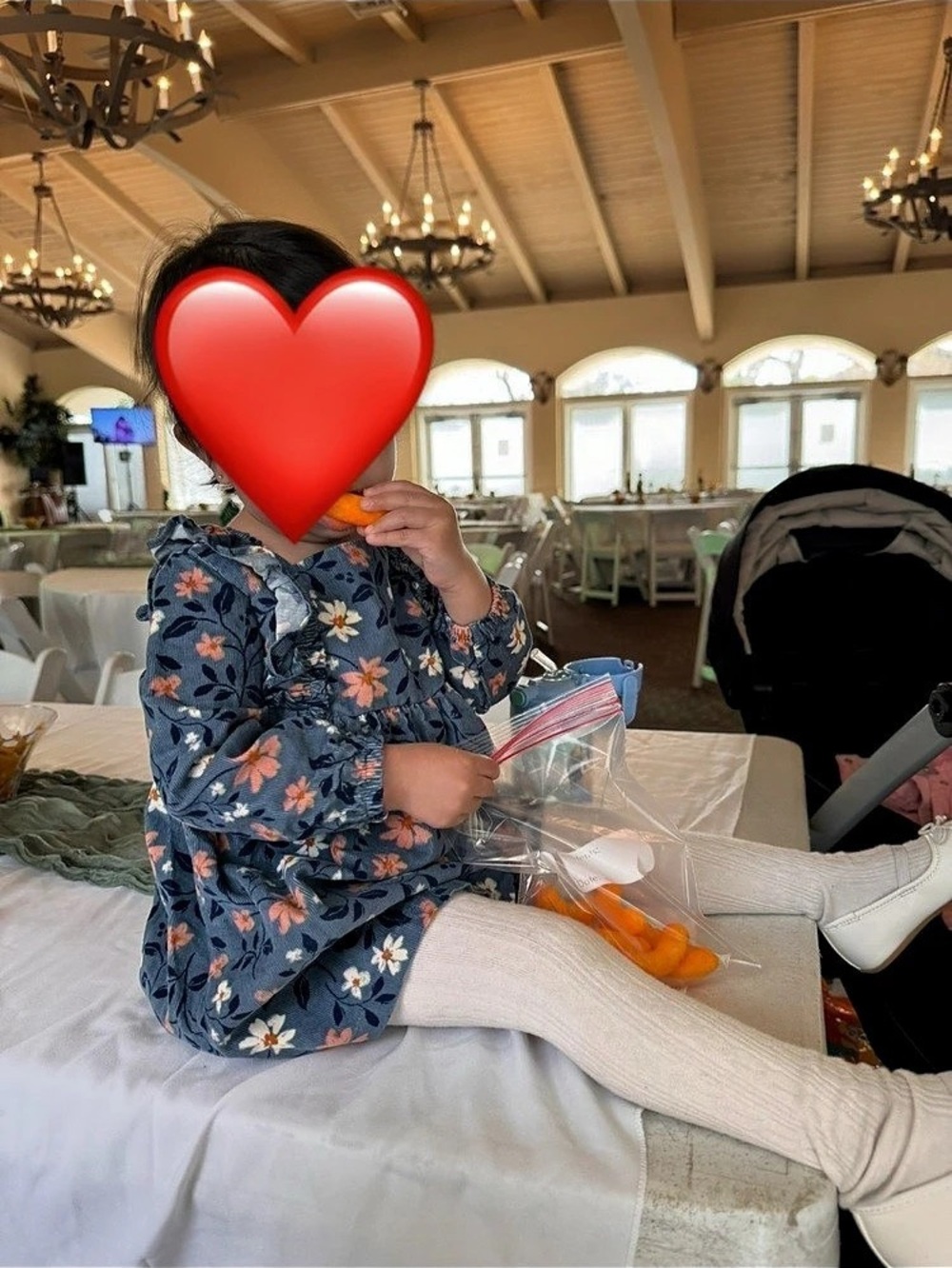 Carter’s Floral Dress